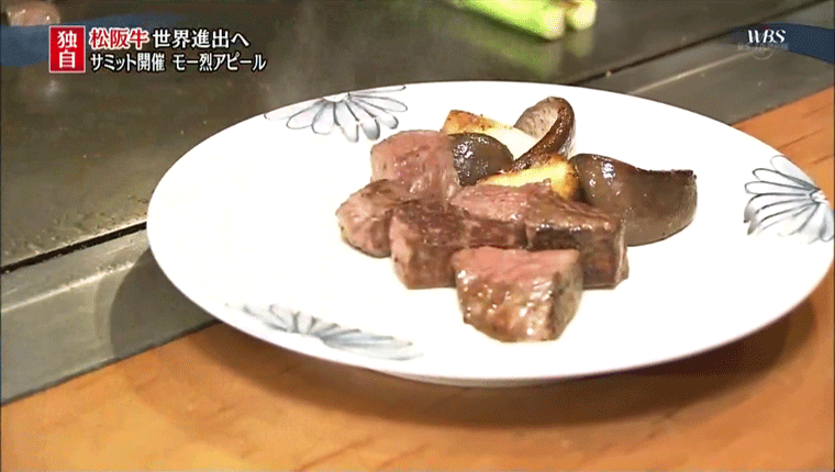 gEio_㋍̐Vj[Jŕt킹ɃVC^P@F[hrWlXTeCgFer 5/13
