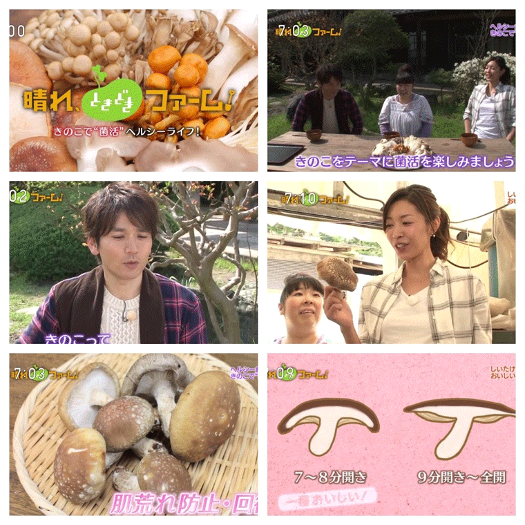 NHKBSv~A22@yƂǂt@[źAŵŁgۊhwV[CtIxB<br>܏̂Ŋ֐SW߂Ă̂uۊi񂩂jvB̂┭yHiHɐϋɓIɎAe⌒Nɖ𗧂Ă悤Ƃ́B<br>łuU삳񂽂͗R̂̂_ƂKAA`G[WOɌʂƂ钿̂Ă炤BĂƕ֗ȉ̂̏؂ÂɒBŕi̗NAbvB<br>t@[̂̃wV[CtA߂łI
