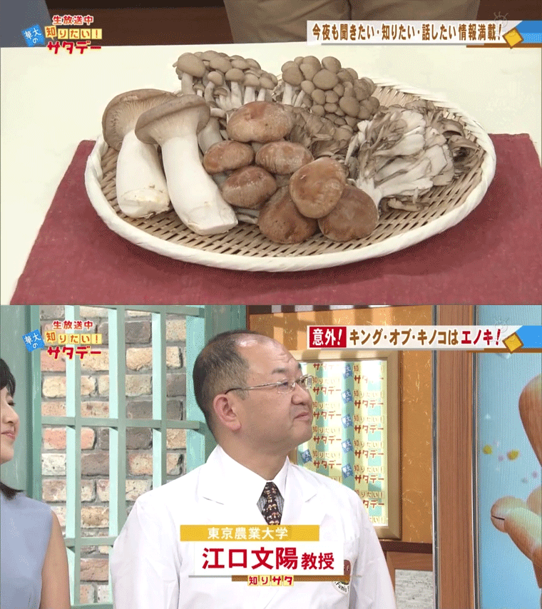 華大の知りたい！サタデー　動脈硬化・肥満予防も！　9月3日(土)ＢＳフジにてエノキタケが低カロリーで食物繊維を豊富に含み、ダイエット効果があるとして紹介されました。